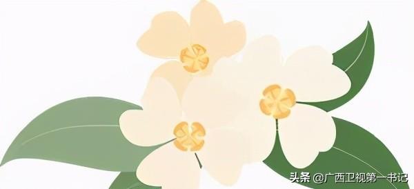 富硒水果玉米（玉米水果富硒吗）-硒宝网