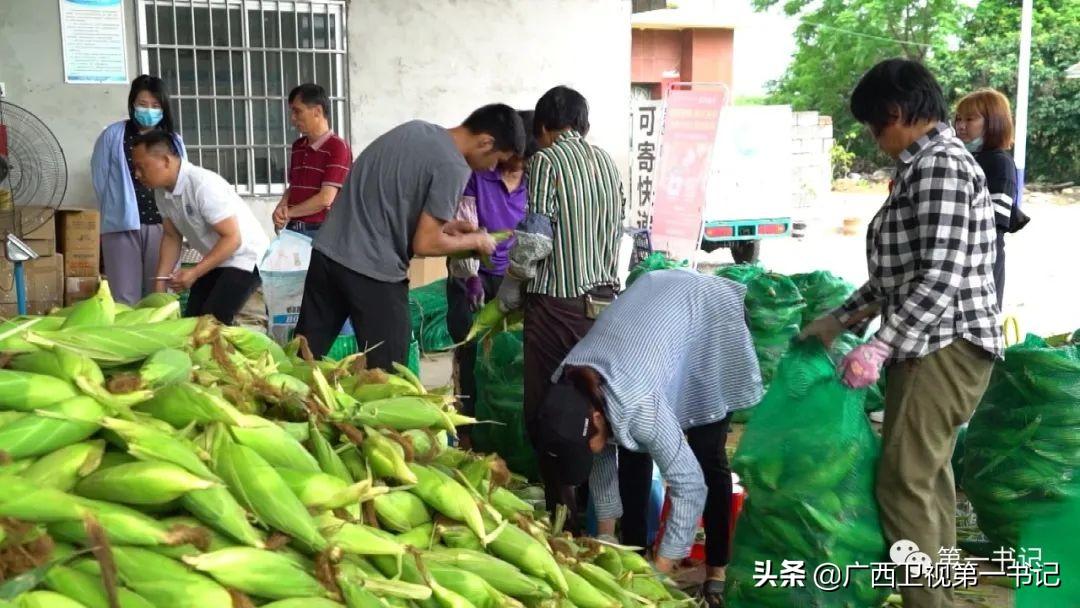 富硒水果玉米（玉米水果富硒吗）-硒宝网