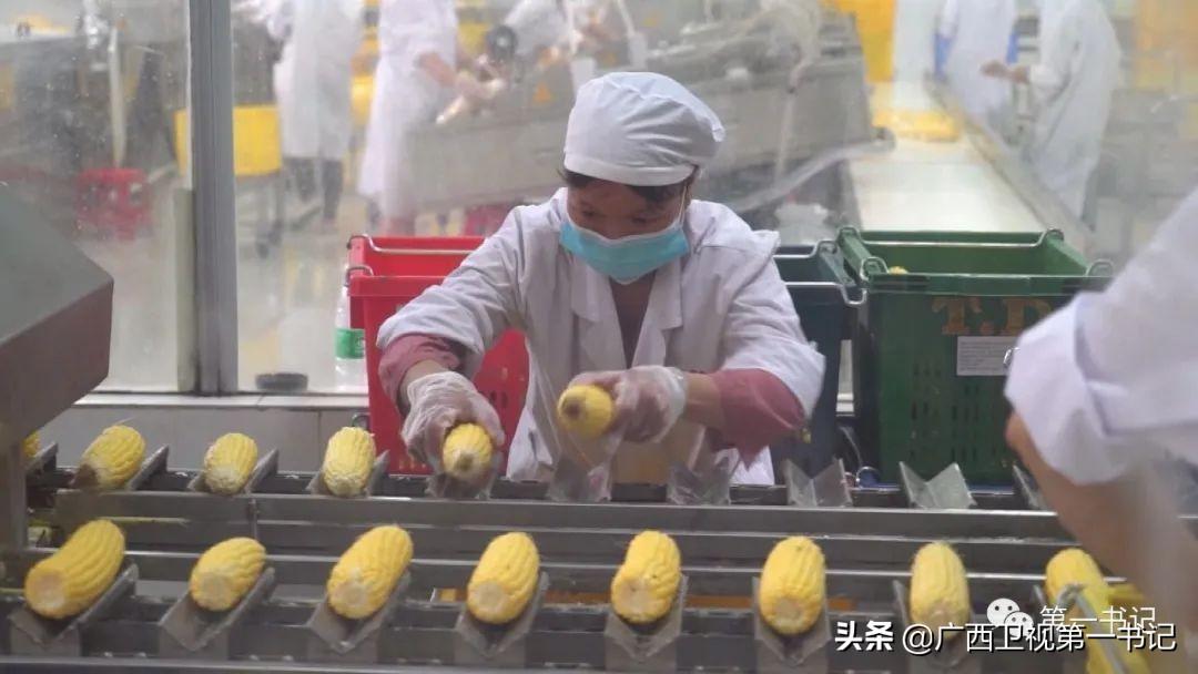 富硒水果玉米（玉米水果富硒吗）-硒宝网