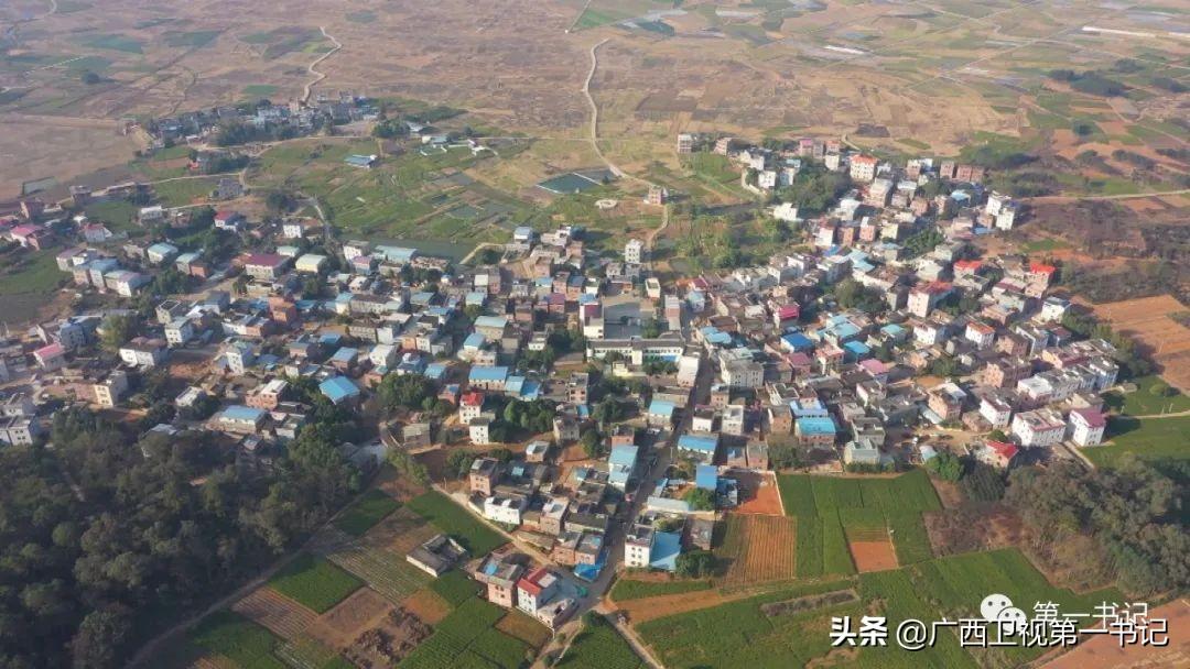 富硒水果玉米（玉米水果富硒吗）-硒宝网