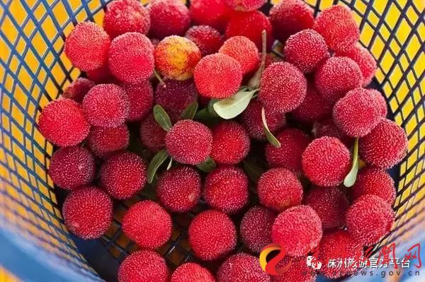 株洲富硒水果（株洲产什么水果）-硒宝网