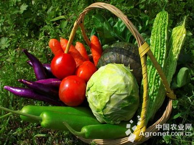 富硒水果吹嘘(富硒水果的国家标准是多少)-硒宝网