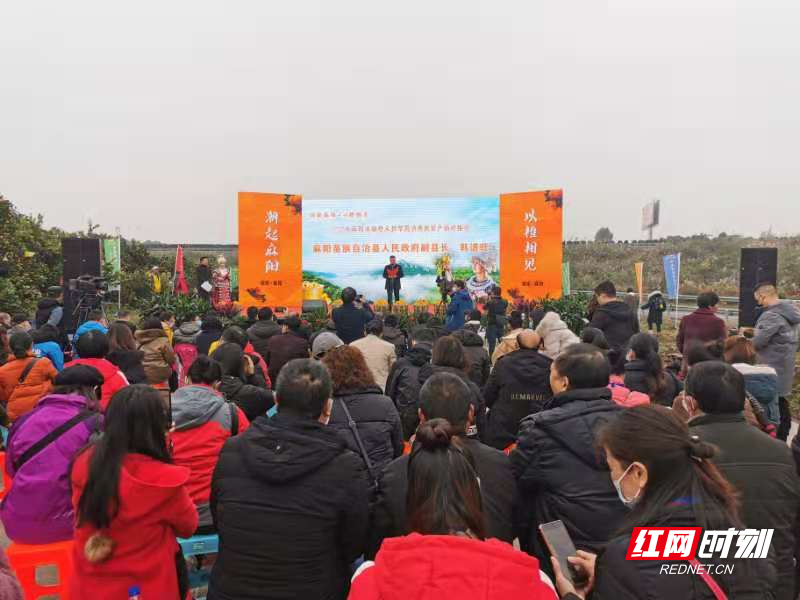 麻阳富硒水果（富硒水果功能及作用）-硒宝网