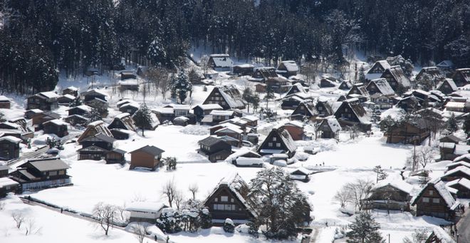 富硒水果吹嘘(富硒对水果的作用如何)-硒宝网