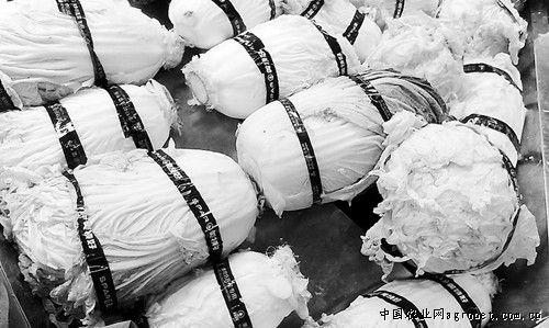 富硒水果吹嘘(水果富硒含量标准)-硒宝网