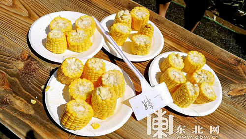 富硒水果玉米（玉米水果富硒含量高吗）-硒宝网