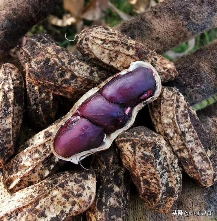 富硒水果花生(花生含硒丰富吗)-硒宝网