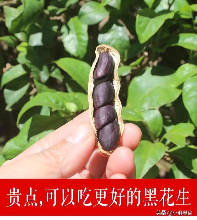 富硒水果花生(花生含硒丰富吗)-硒宝网