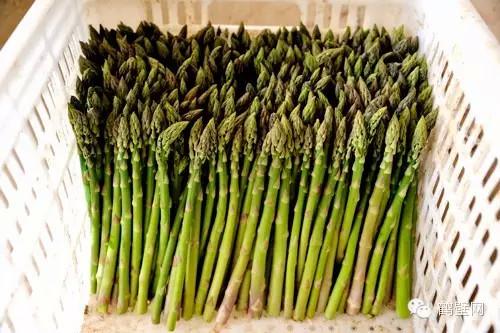 鹤壁富硒水果（鹤峰富硒茶价格）-硒宝网