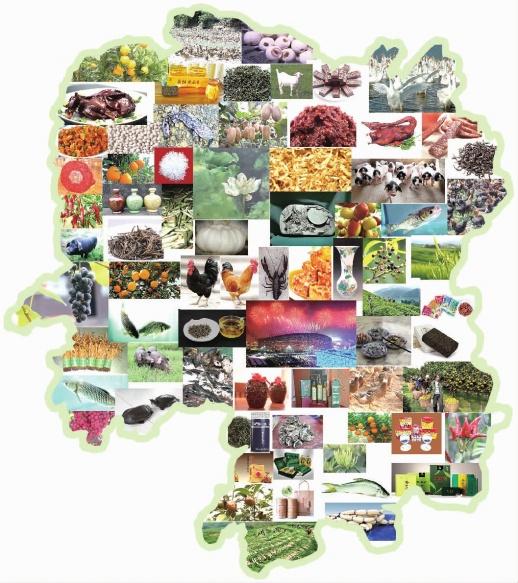 澳门富硒水果(澳门水果)-硒宝网