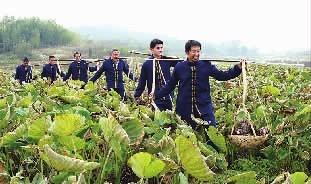 澳门富硒水果(澳门水果)-硒宝网