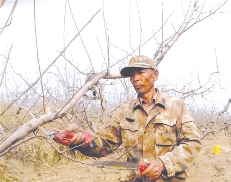 阳泉富硒水果(富硒泉水价格)-硒宝网