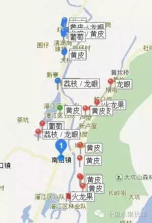 富硒水果要求(水果富硒要求是什么)-硒宝网