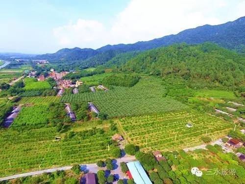 富硒水果要求(水果富硒要求是什么)-硒宝网