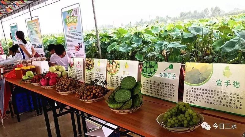 富硒水果要求(水果富硒要求是什么)-硒宝网