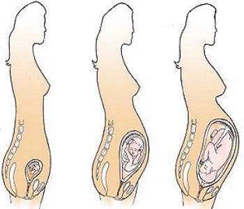 孕妇几个月补钙是最佳时期(孕妇补钙补到几月份)-硒宝网