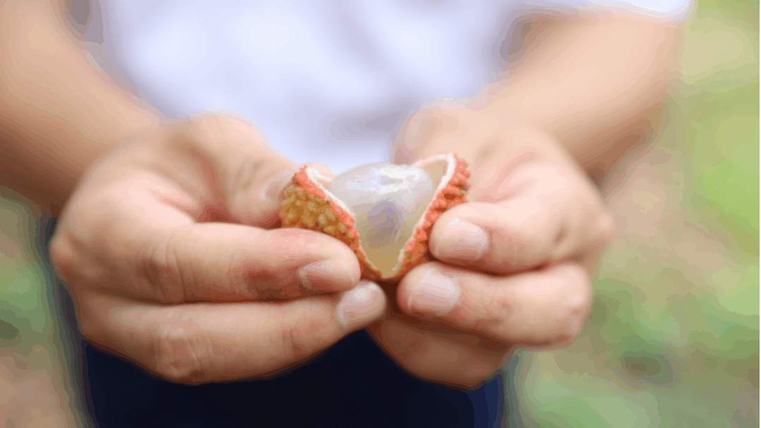 佛山富硒水果(佛山什么水果出名)-硒宝网