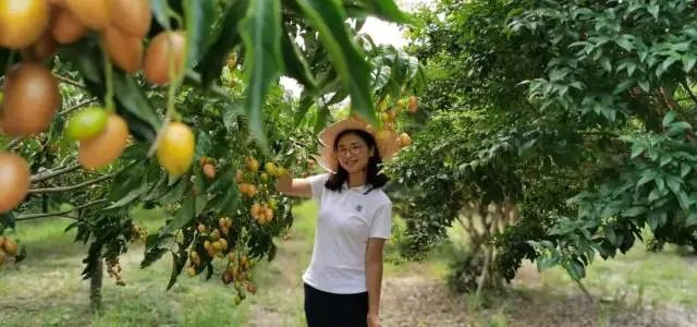 佛山富硒水果(佛山什么水果出名)-硒宝网