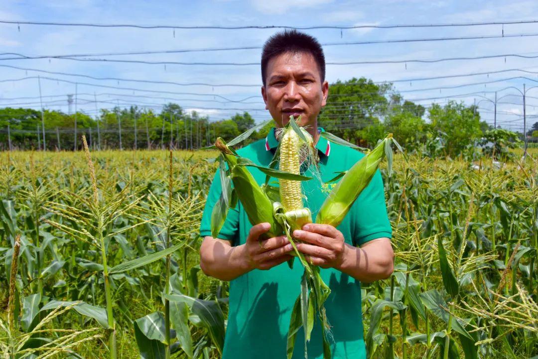 富硒水果大全(水果大全富硒有哪些)-硒宝网