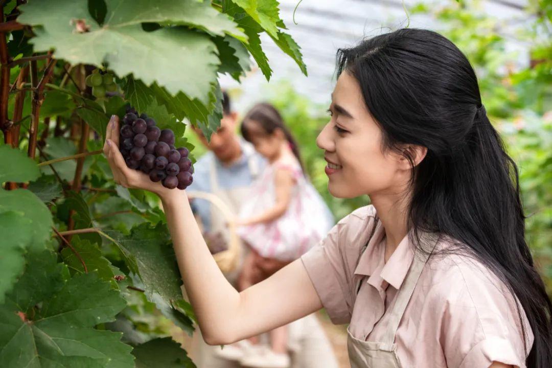 富硒水果大全(水果大全富硒有哪些)-硒宝网