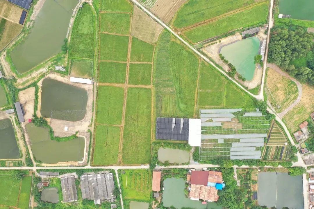 富硒水果大全(水果大全富硒有哪些)-硒宝网