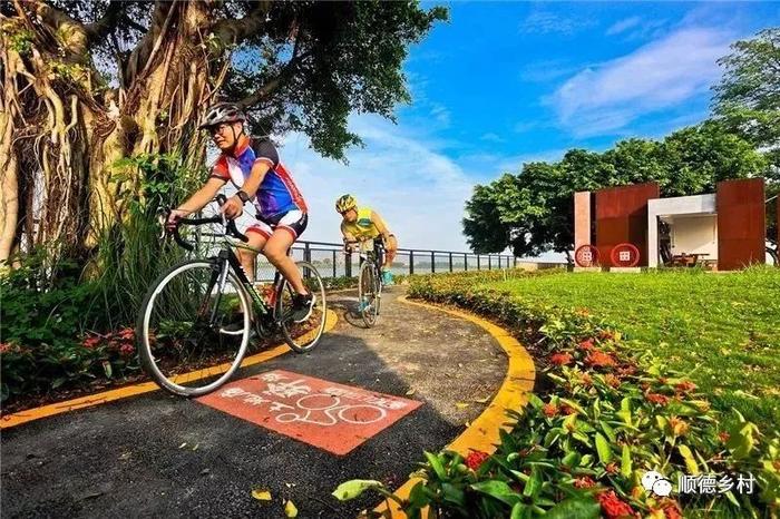 佛山富硒水果(佛山水果富硒产地)-硒宝网