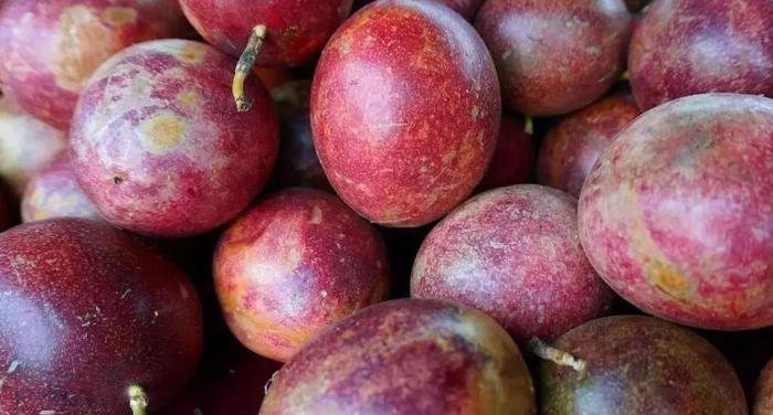 佛山富硒水果(佛山水果富硒产地)-硒宝网