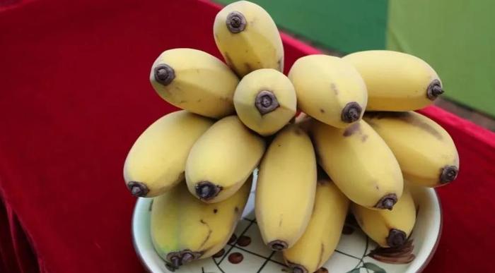 佛山富硒水果(佛山水果富硒产地)-硒宝网