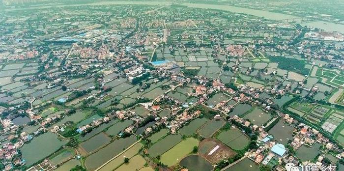 佛山富硒水果(佛山水果富硒产地)-硒宝网