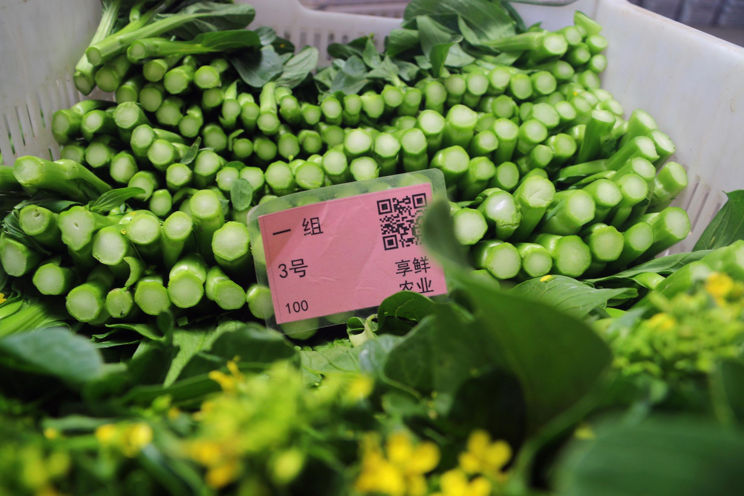 澳门富硒水果(澳门水果富硒产地)-硒宝网