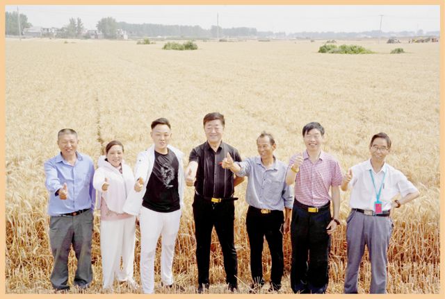 河南富硒水果（河南富硒地区）-硒宝网