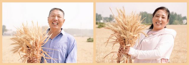 河南富硒水果（河南富硒地区）-硒宝网