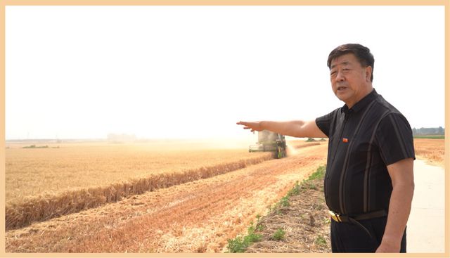 河南富硒水果（河南富硒地区）-硒宝网