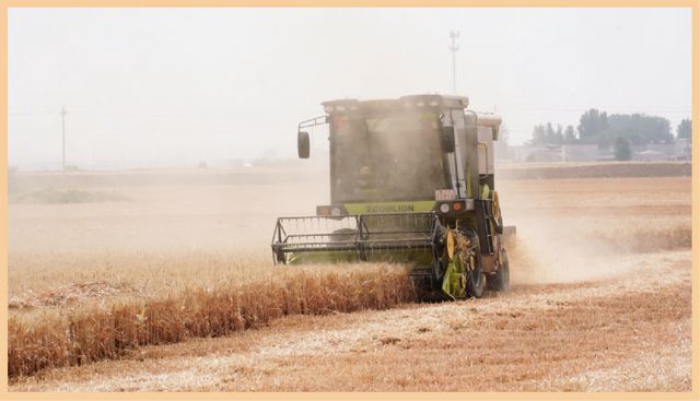 河南富硒水果（河南富硒地区）-硒宝网