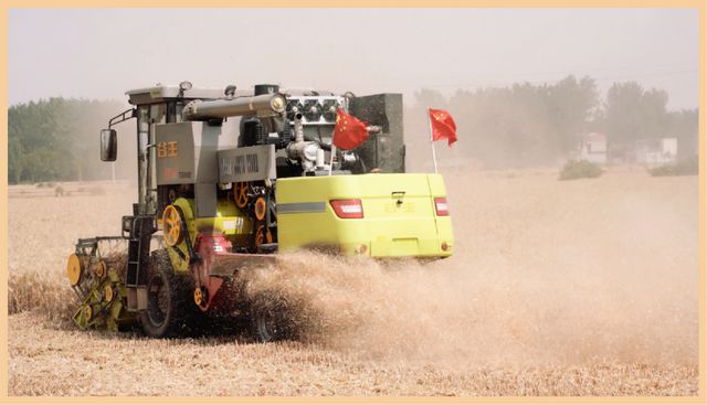 河南富硒水果（河南富硒地区）-硒宝网