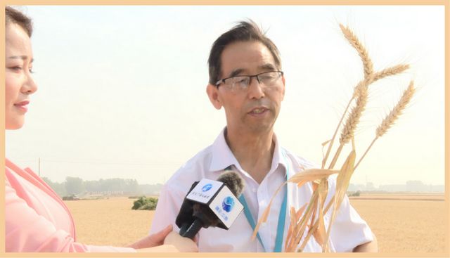 河南富硒水果（河南富硒地区）-硒宝网