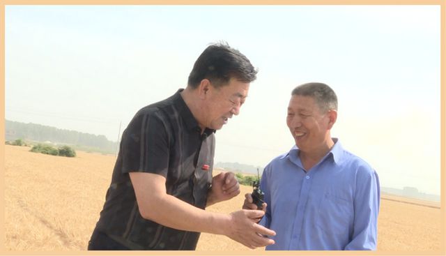 河南富硒水果（河南富硒地区）-硒宝网