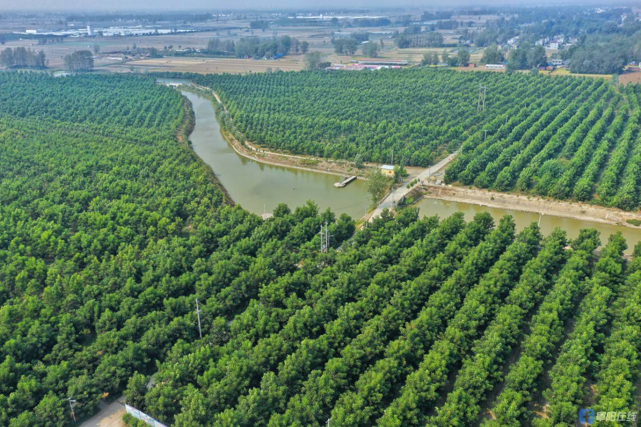 菏泽富硒水果(山东富硒农产品)-硒宝网