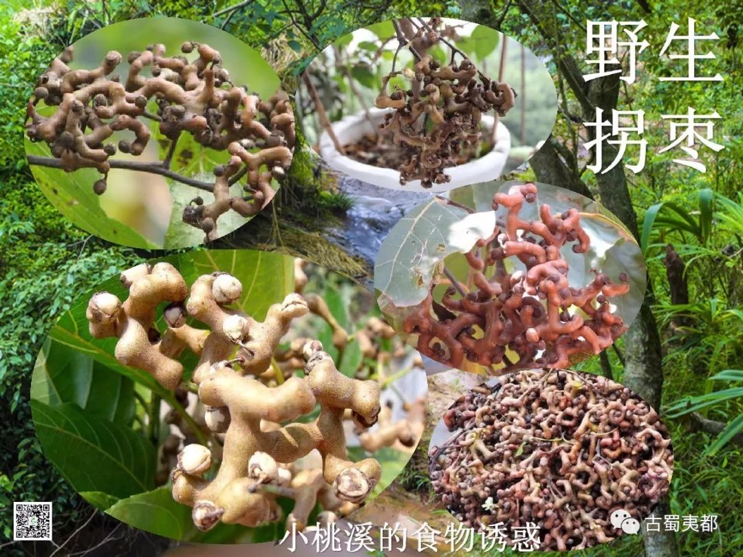 富硒水果功效(水果功效富硒有哪些)-硒宝网