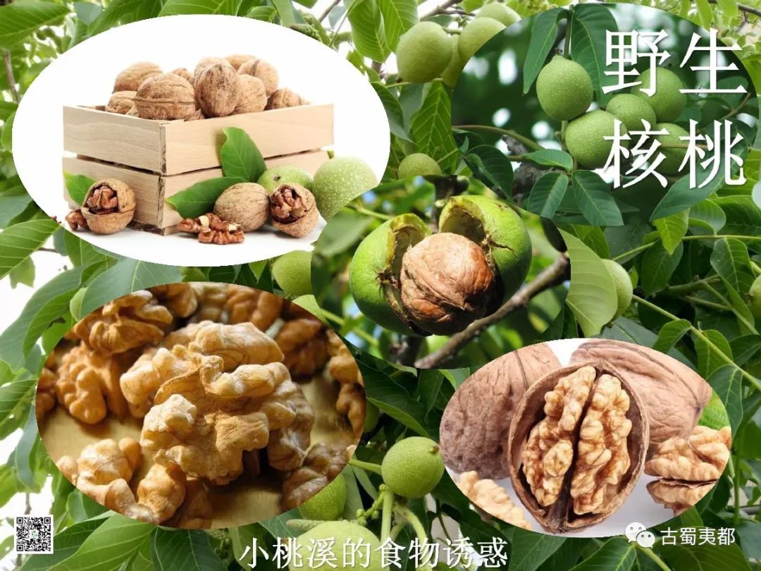 富硒水果功效(水果功效富硒有哪些)-硒宝网