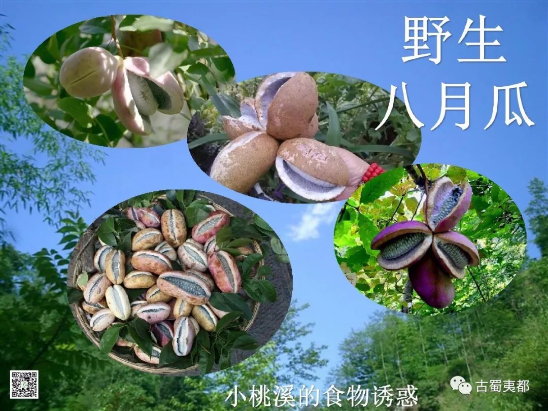 富硒水果功效(水果功效富硒有哪些)-硒宝网