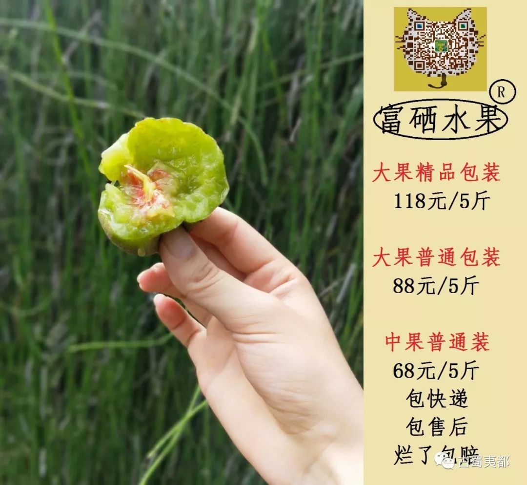 富硒水果功效(水果功效富硒有哪些)-硒宝网