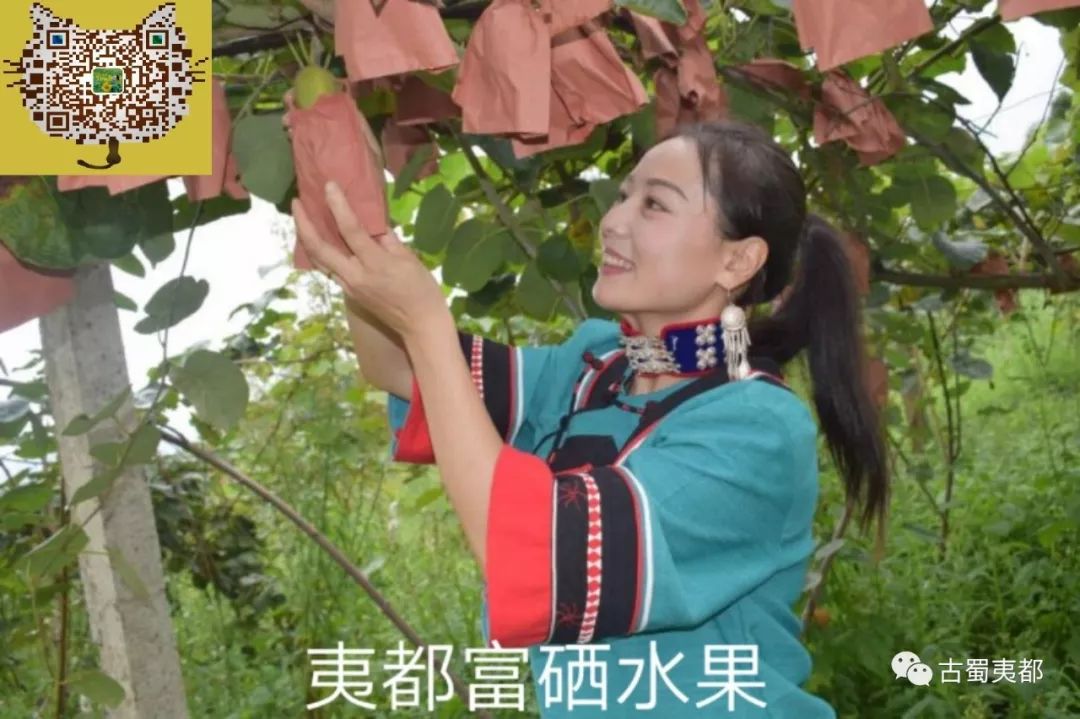 富硒水果功效(水果功效富硒有哪些)-硒宝网