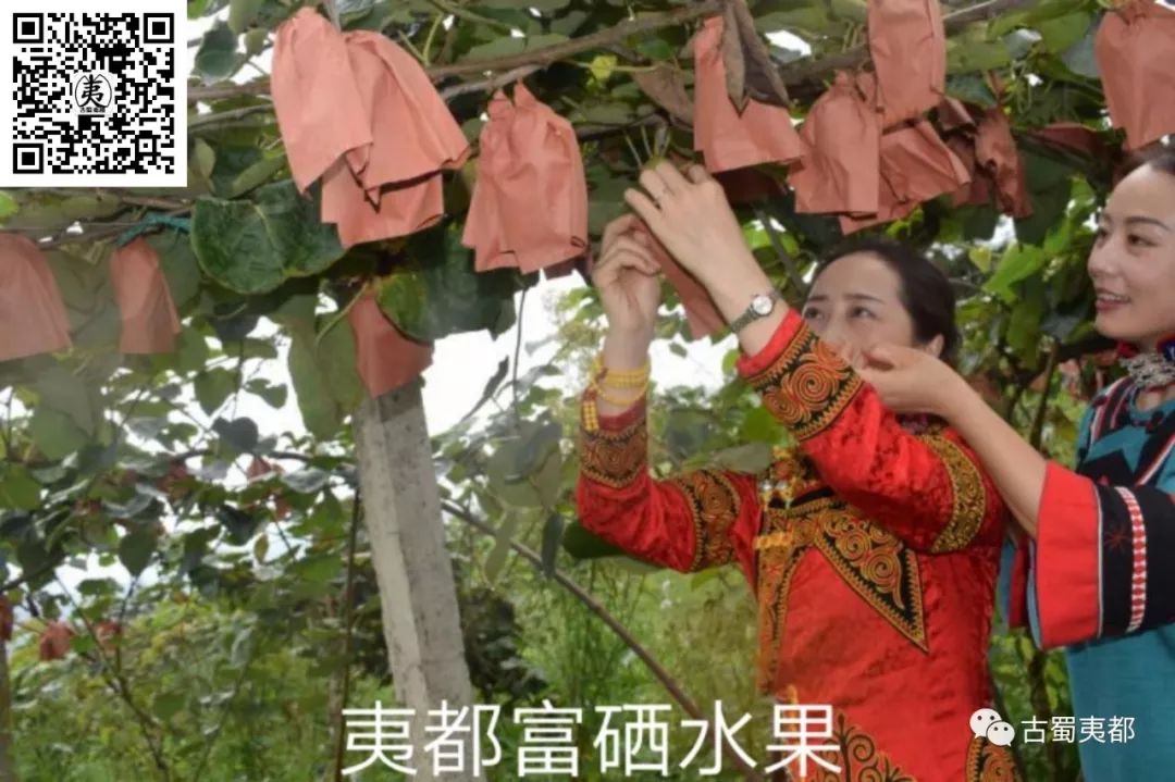 富硒水果功效(水果功效富硒有哪些)-硒宝网