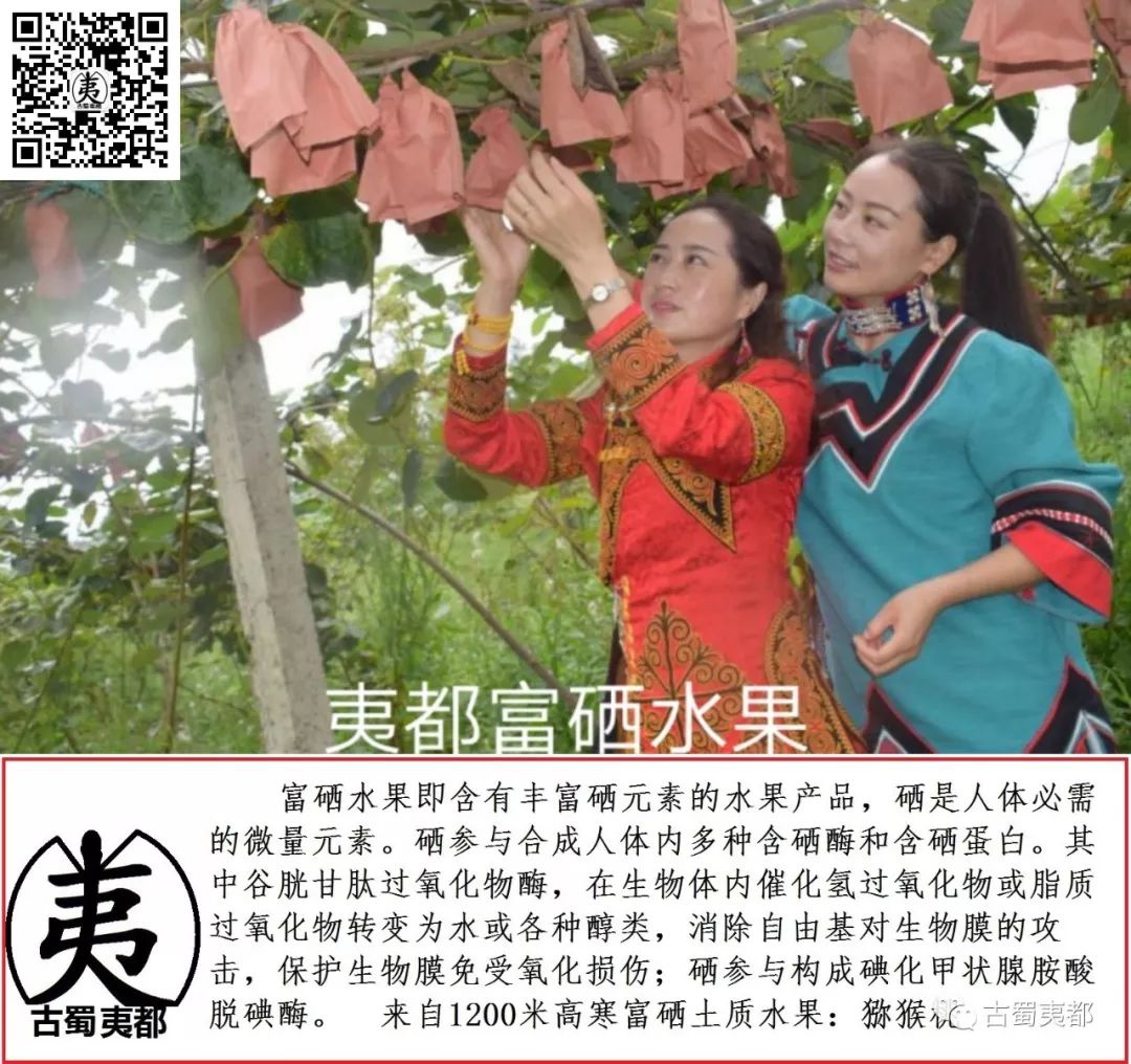 富硒水果功效(水果功效富硒有哪些)-硒宝网