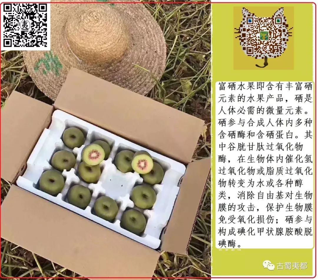 富硒水果功效(水果功效富硒有哪些)-硒宝网