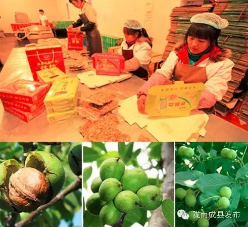 陇南富硒水果(陇南水果特产)-硒宝网