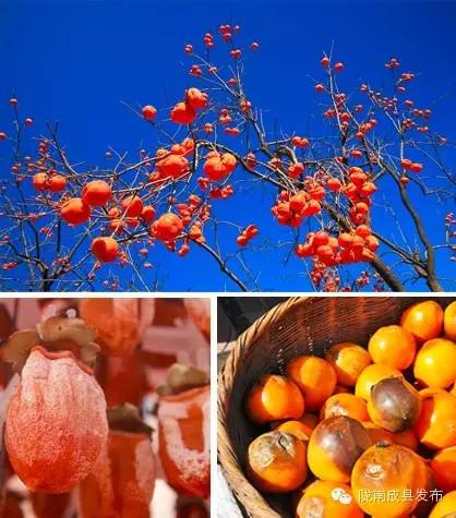 陇南富硒水果(陇南水果特产)-硒宝网