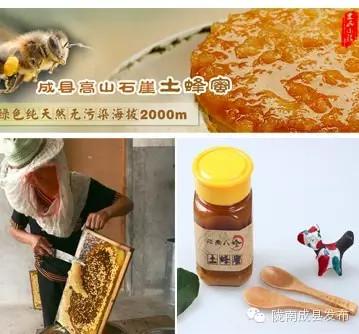 陇南富硒水果(陇南水果特产)-硒宝网