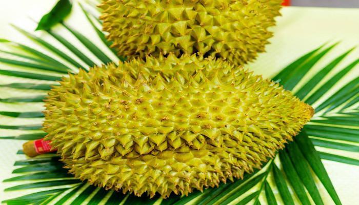 富硒最贵水果(富硒水果一览表)-硒宝网